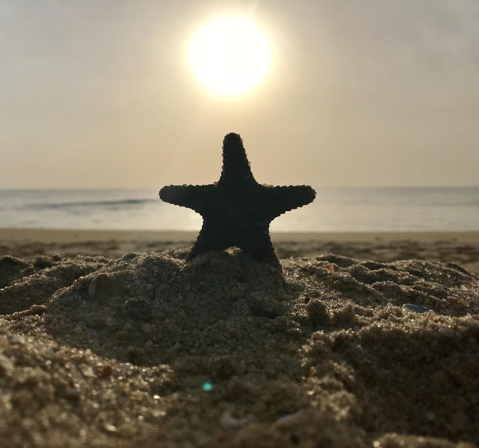 Starfish Beach Bungalows Arugam Bay Esterno foto